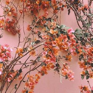 亚洲一级二级三级片
